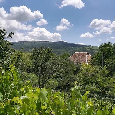 Guest House Luka Manglisi Екстериор снимка